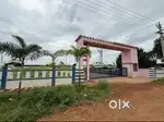 NUDA layout 1,10,000 per ankanam Pothireddypalem