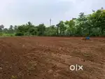 4 cent north thoppampatti surrounding
