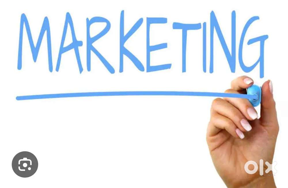 Marketing data collection job Ludhiana