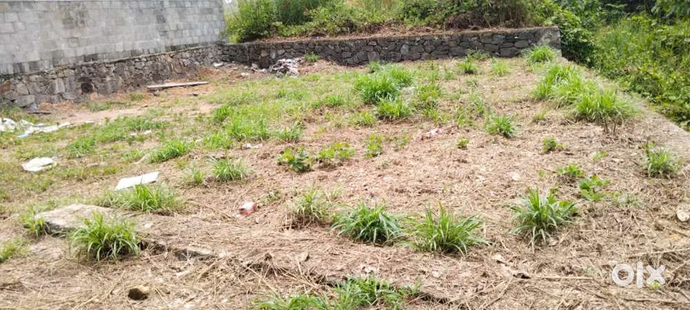 3.5 cent Land for sale