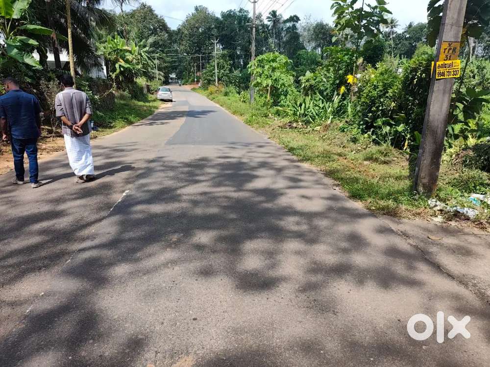 Kothamangalam paingottoor Thennathoor @53 lakhs 70 cent for sale