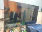 HAIER GOOGLE LED TV
