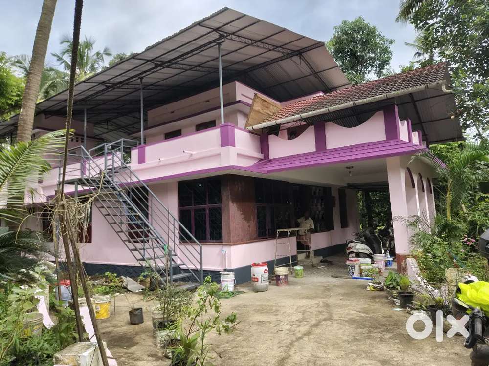 House and flatt for rent