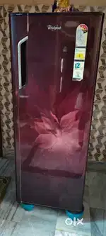 Whirlpool fridge