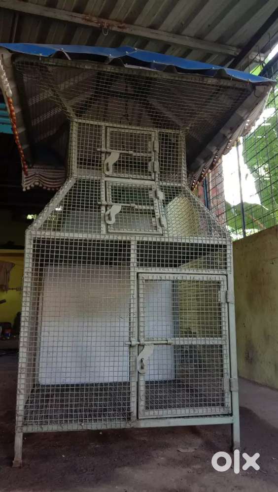 “Strong Metal Pet Cage with Roof – Excellent Condition (Paraicode)”