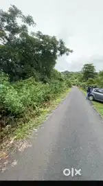 Dhargal land for sale 3065sqmtr 27k/sqmtr settlement