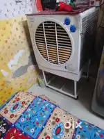 Cooler and cupboard