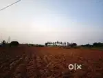 Agriculture land sale