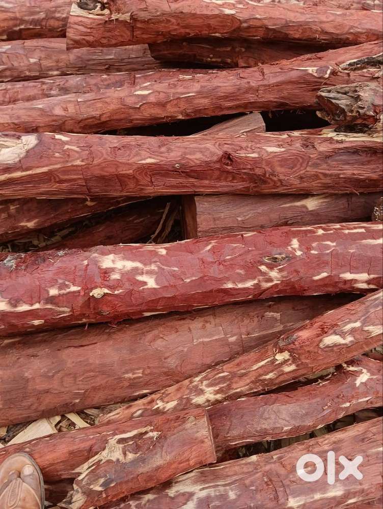 investor required urgently for wood  business  on profit sharing