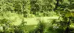 8 acre Agriculture open land for sale