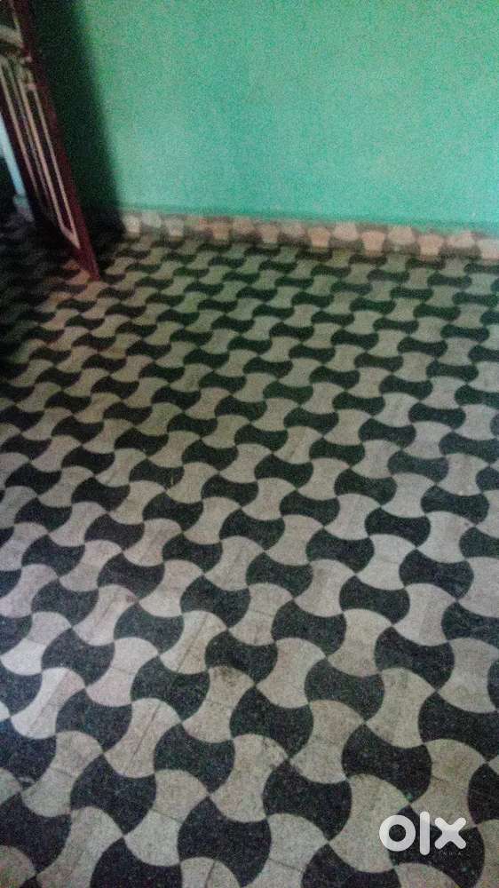 Looking for lady room partener