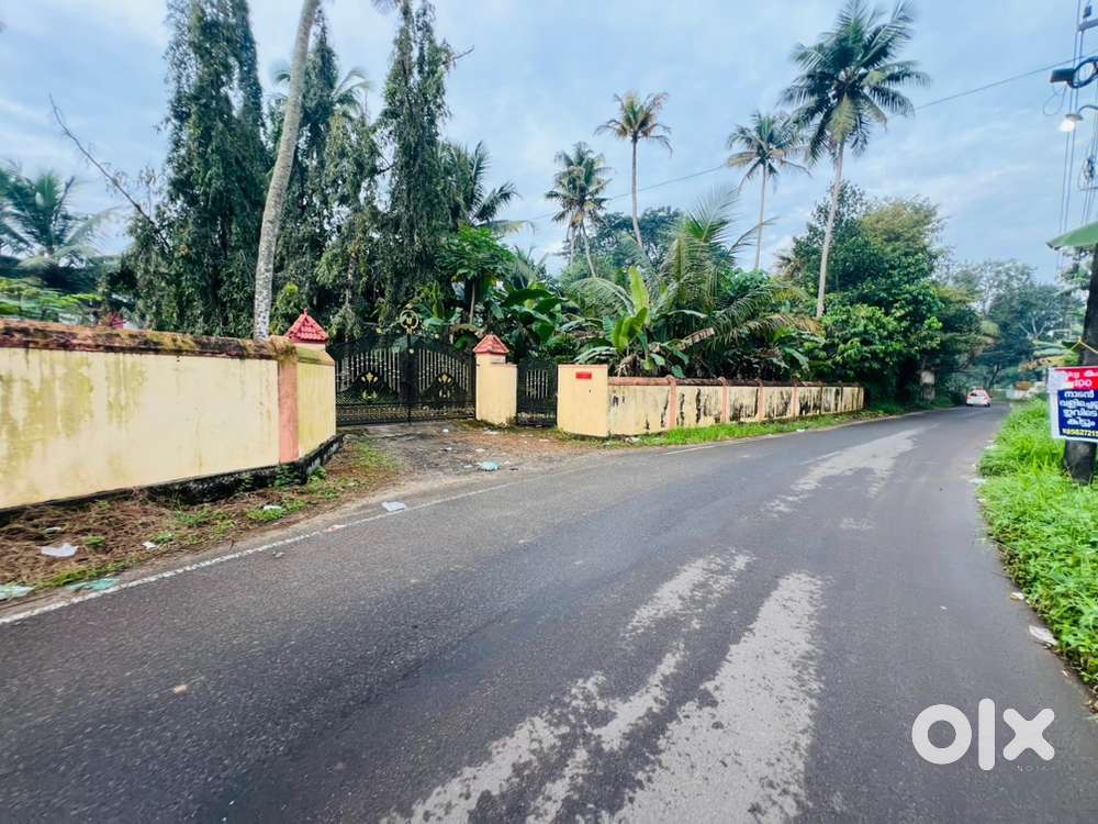 Aluva uc college road front 2.48acre land 3000sqt old house cent 6.75