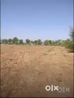 Agriculture land 34 bigha road touch