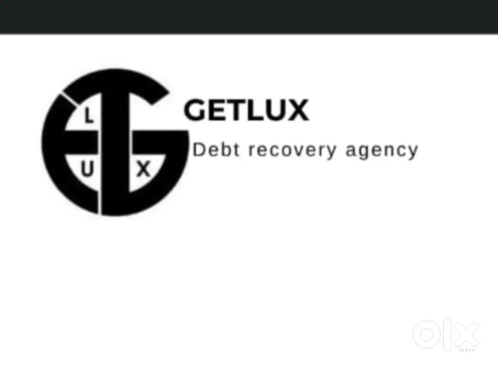 Collection Executive