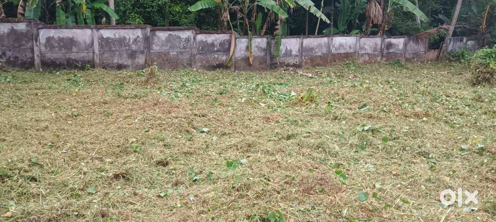 ഇരിഞാലകുടയിൽ 7 സെനറ്റ് സ്ഥലം വില്പനക്ക്