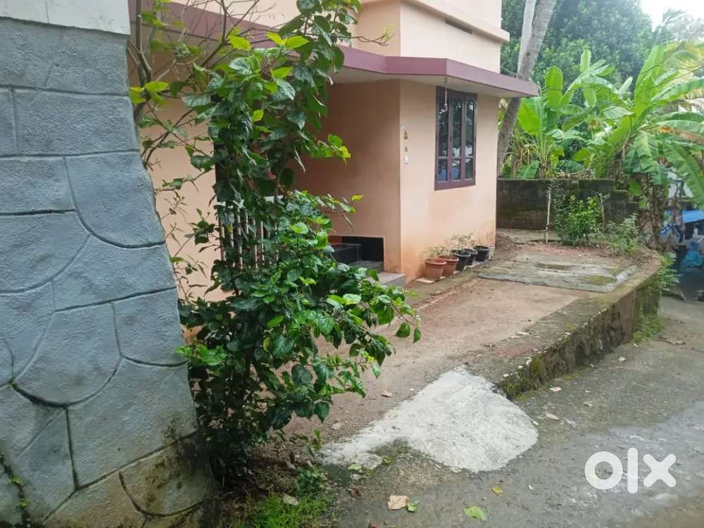 First Floor For Rent