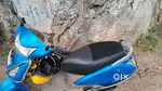 Family scooter