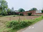 5 ਮਰਲੇ Plot For Sale On Road Villege Dangoli Near Ghanauli 10 Lakh