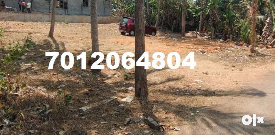 ID-187539- 5 CENT LAND FOR SALE AT VANCHIYOOR,
