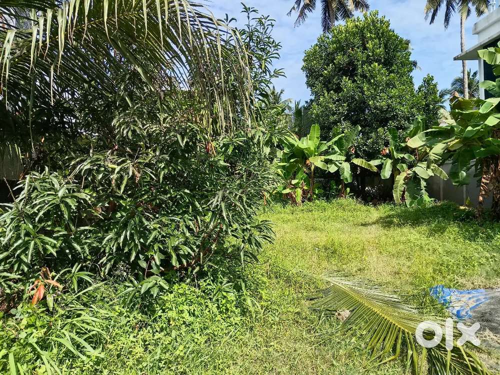 Plot for sale