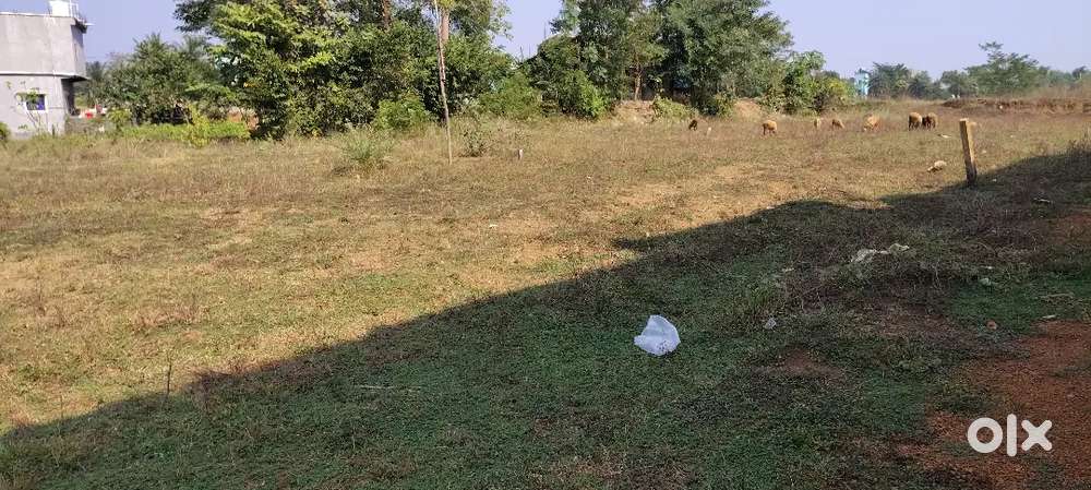 Plot for sell at Nurudihi