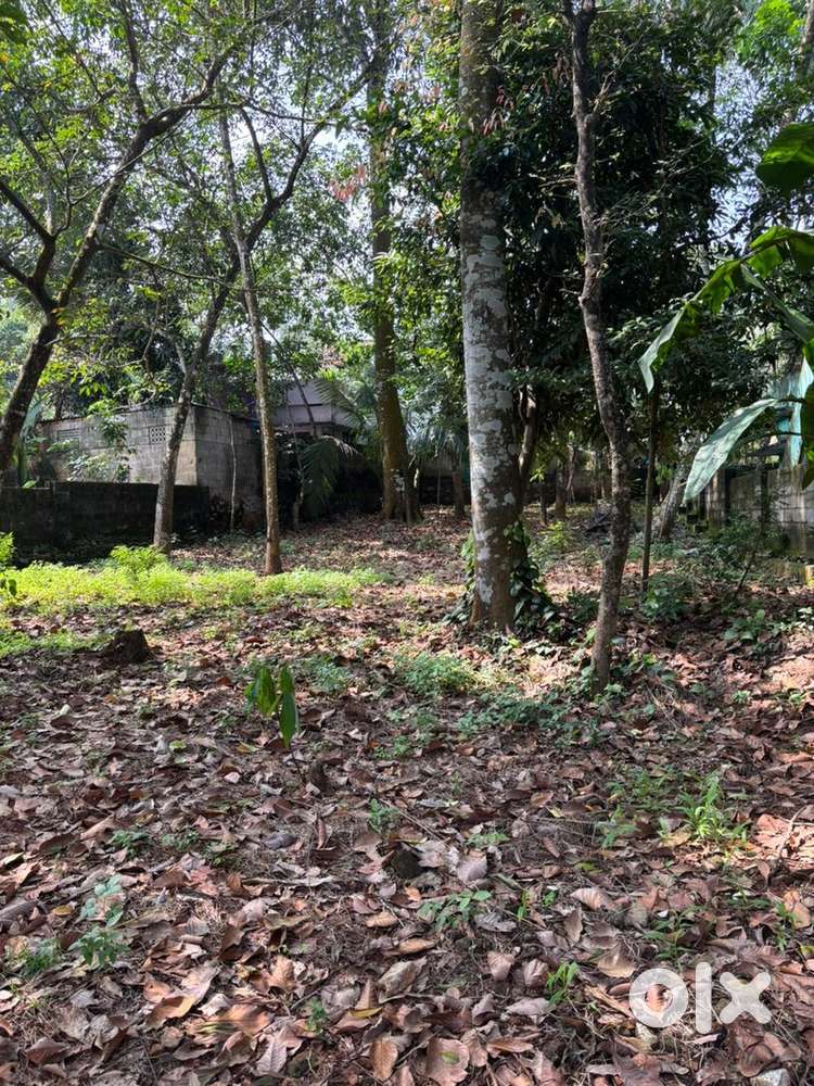 15 cents land for sale