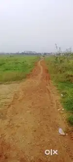 Plots sell