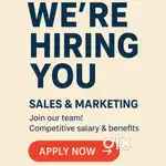 Sales executive