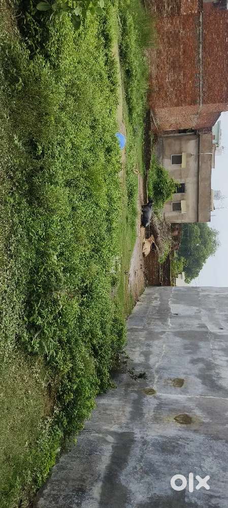 Thakur sahab
