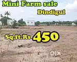Mini Farm land sale @ Dindigul