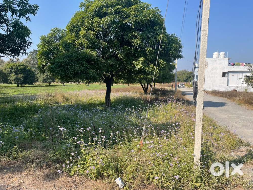 2000 sqft open area  wide road option