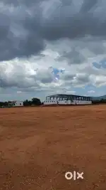 Mega Launch in Dindigul Dream City