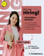 Telecalling Executive
