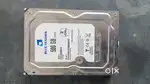 Blue feather 500GB Sata
