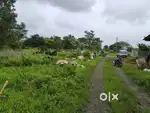 Farm house in bhopal 10kms from lalghati for sale in best price