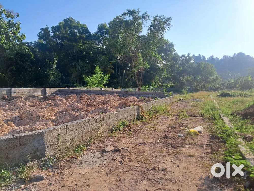 anayara 4-4-6 cent per cent..1050000