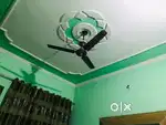 Rent for Bachelor