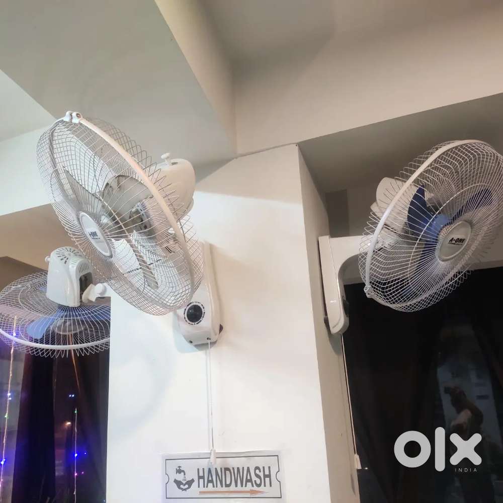 1 Month Old, Wall Fan (10 nos)
