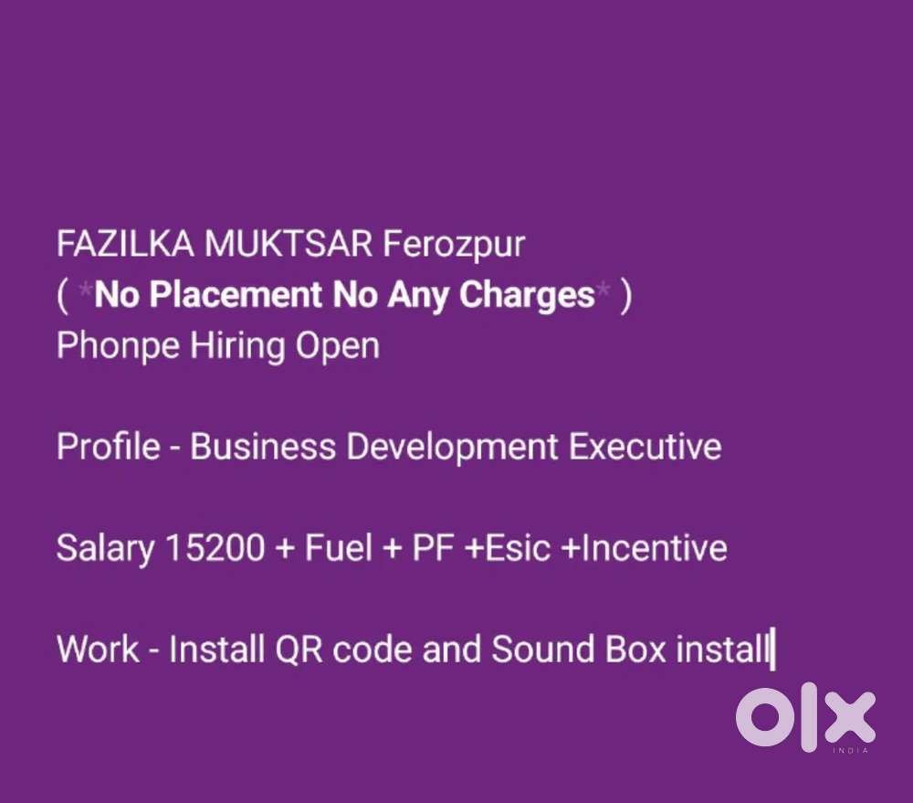 Abohar Business Development Executive Required