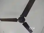 Brown colour ceiling fan for sale in working and good condition