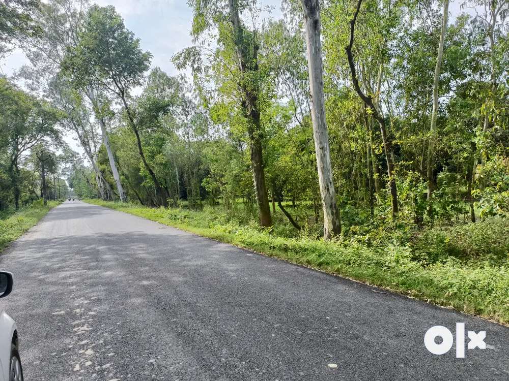 Owner 46Bigha Land Sale In Manjhipur Behat Road Dehradun Sundarpur