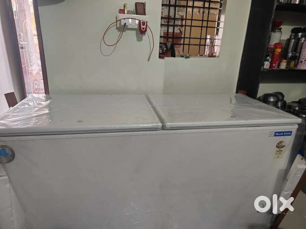 Blue star deepfreeze 500 lit
