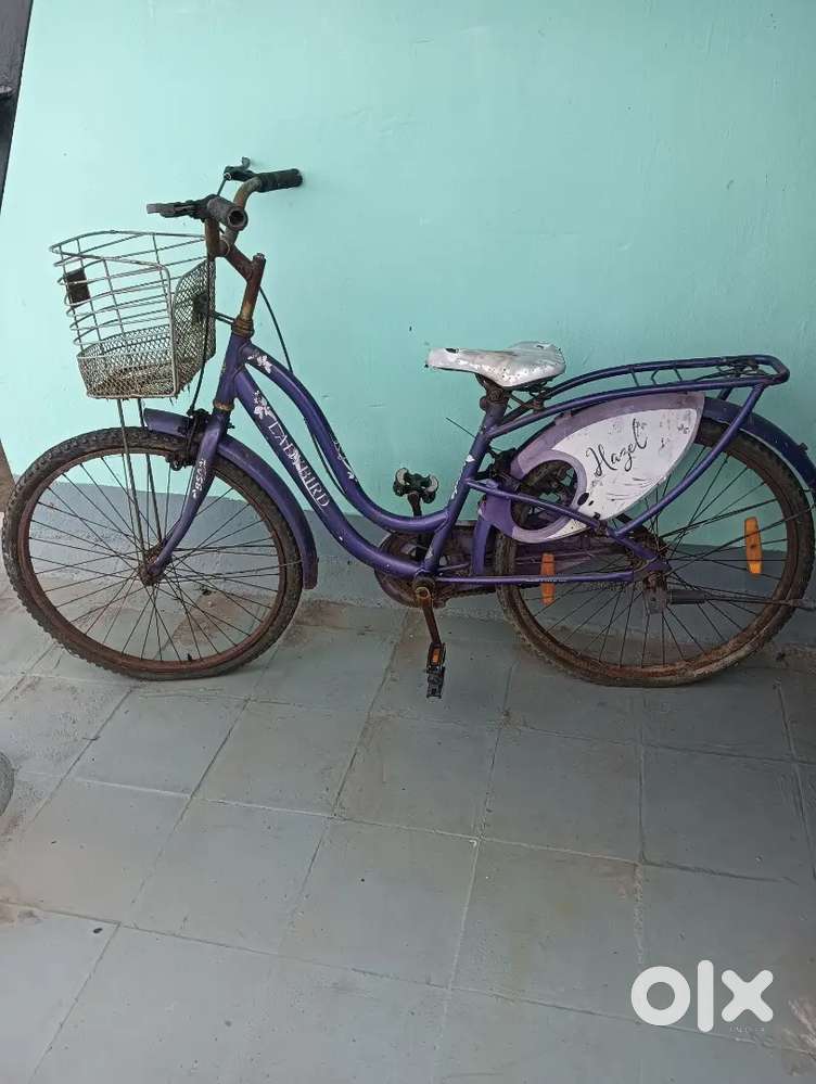 Lady Bird Hazel with air hand pump