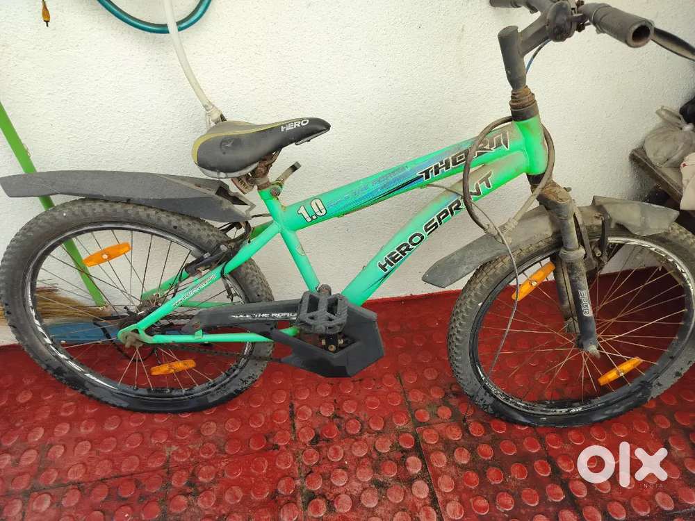 Bicycle old 3 years