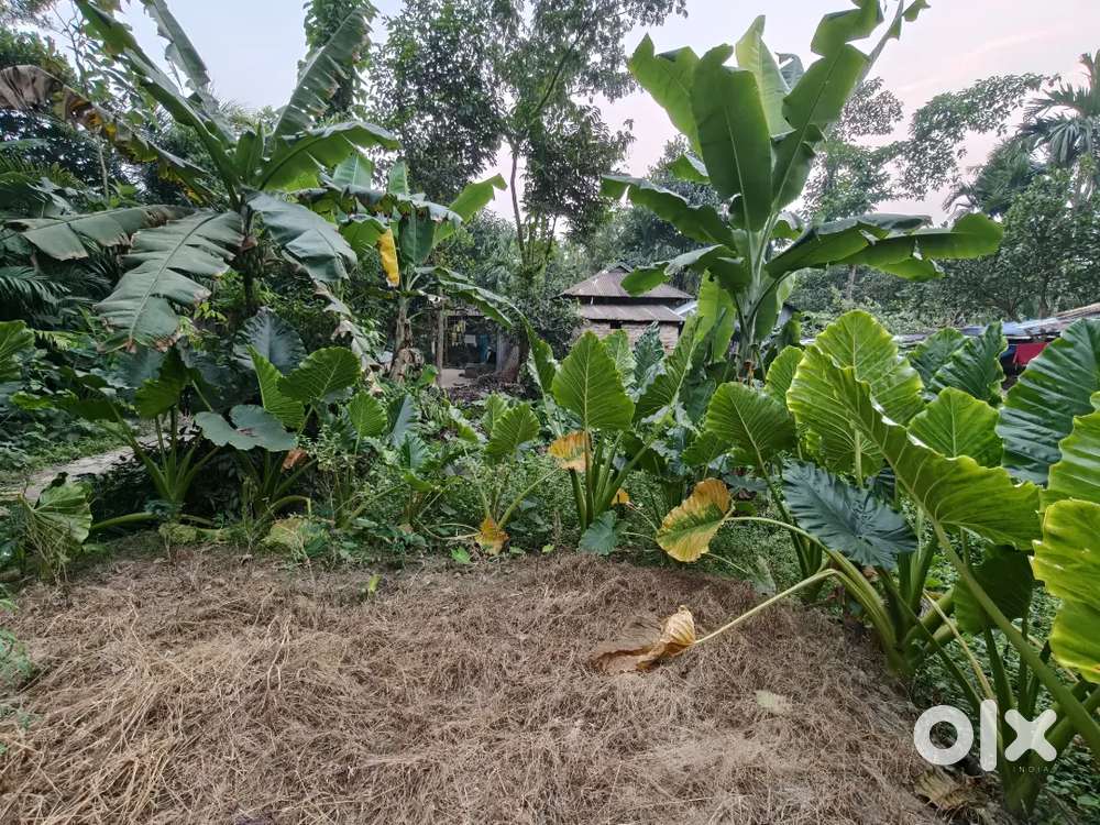 1.5 kata jomi 10 fut rod 1km station 1km hospital 1.5 km University