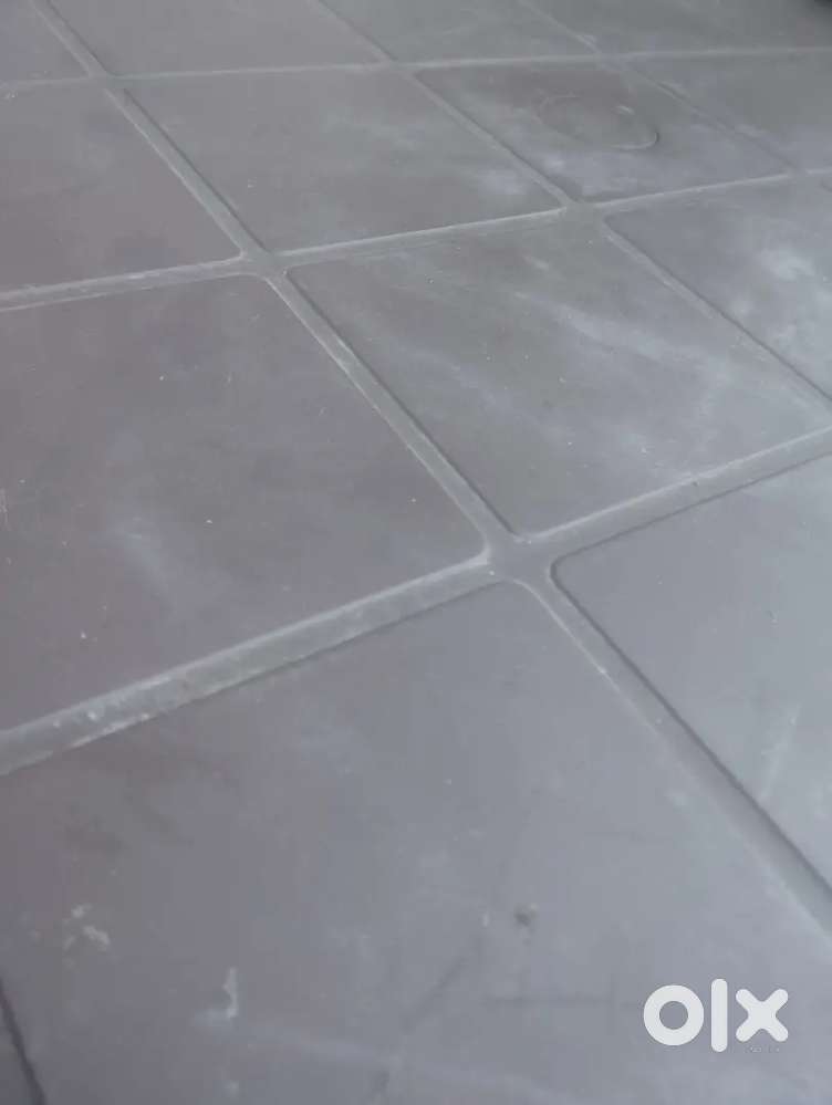 Electric auto rickshaw