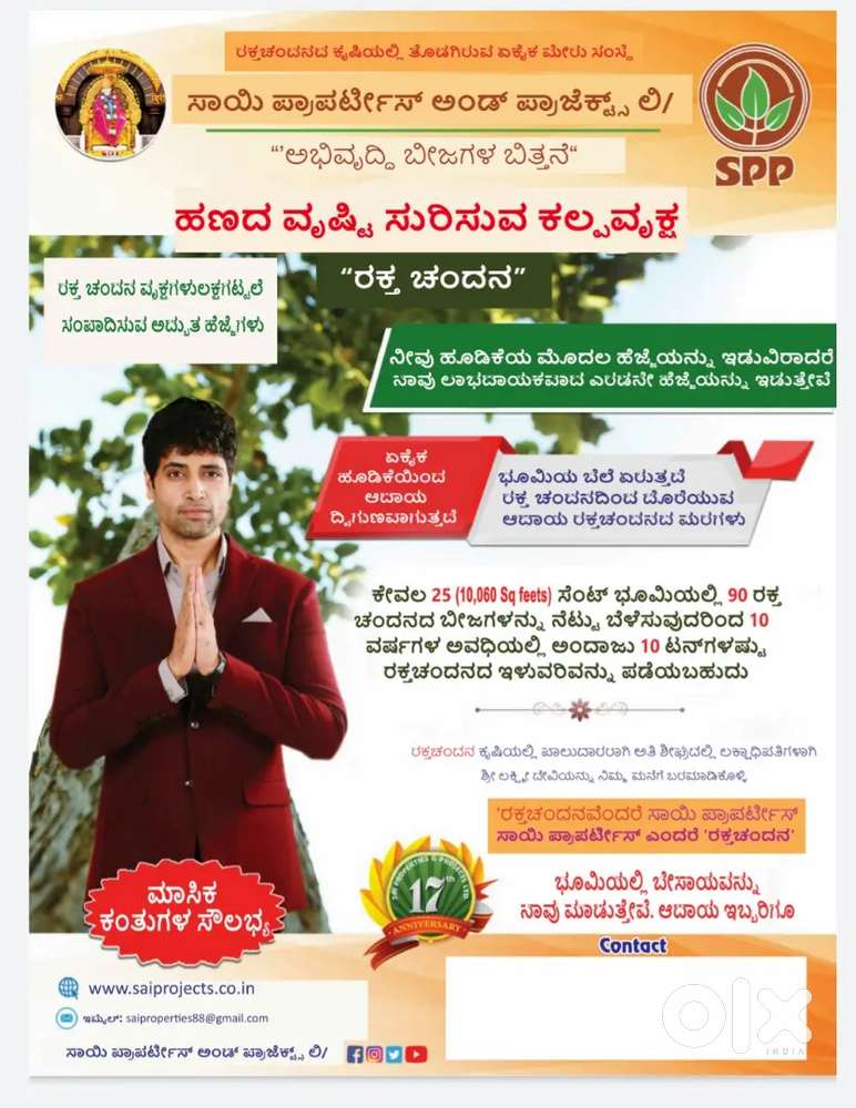 1210 sq yards Red sandal wood farm lands for sale in ananthapur dt