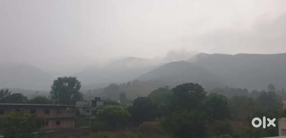 Job for south Indian chef