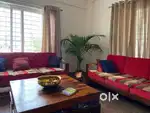 Two 3 seater sofas for sale