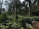 7 Acre Plantation with House for Sale – Balehonnur (Melpal–Koppa Road)